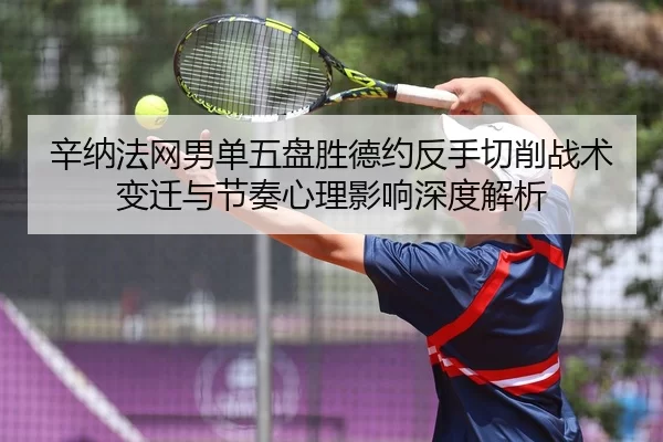 xin-na-fa-wang-nan-dan-wu-pan-sheng-de-yue-fan-shou-qie-xiao-zhan-shu-bian-qian-yu-jie-zou-xin-li-ying-xiang-shen-du-2-261.jpg